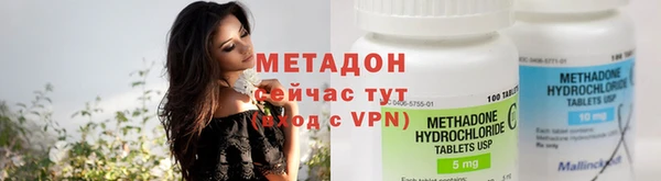 сатива Каменногорск