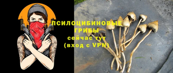 молекула духа Алзамай